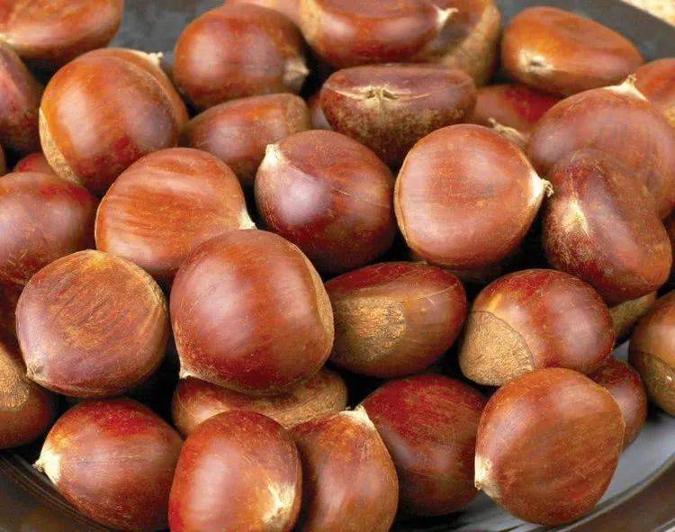 坚果容易长肉吗 2157c6d2ffaf4114a319bdd850267daf.jpeg