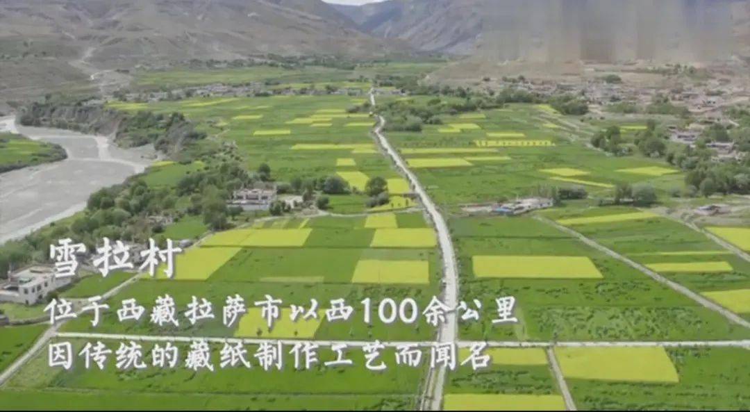 仁里集镇人口_齐河县仁里集镇图片(3)