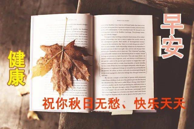 秋日清晨早上好最美动态表情图片 秋季早安问候动态表情鲜花图片