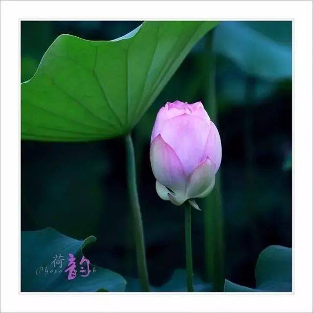 人要懂得,将心比心