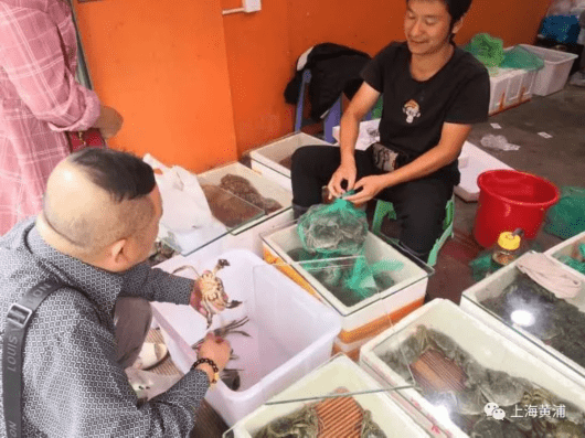 寿宁|大闸蟹“中秋国庆价”开始下跌！部分菜市场：二两母蟹16元/只！