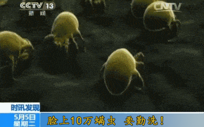 氨基酸|拒绝“螨虫脸”，5秒揉一揉，螨虫全出来了，痘痘黑头全没了！