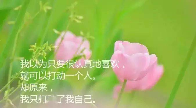 e1c7fe2acc2c4c42bb55b338da24f870.jpeg
