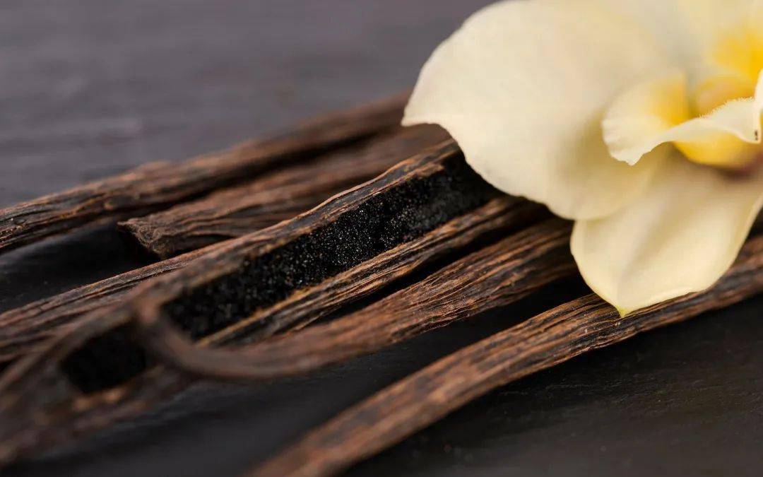 听美食侦探社梦幻香料香草荚