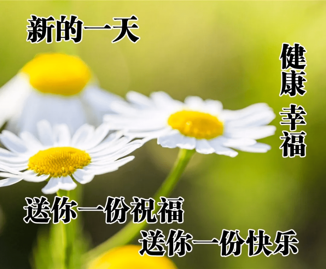 1b0af5b287f64f009798e49b48dcc1fa.png