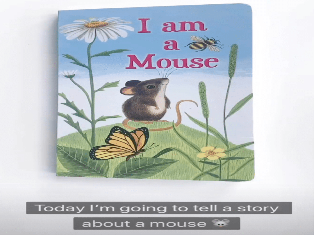 晚安故事——i am a mouse