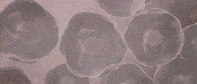 都囤|4.5折抢欧莱雅黑精华！明星都囤的王牌产品你凭啥不囤？