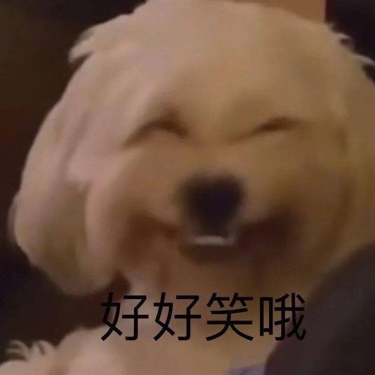 美女|红薯唯一不翻车白富美也就她了…