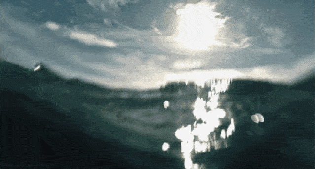 407ab1220a4c4b4bb7abf18b27ed057d.gif