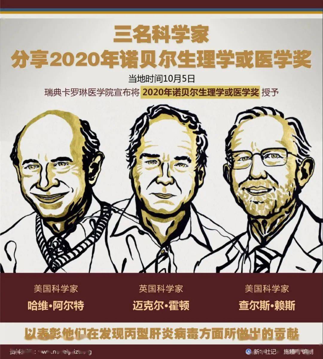 科普丨2020年诺贝尔奖颁给丙肝病毒发现者!一起认识下