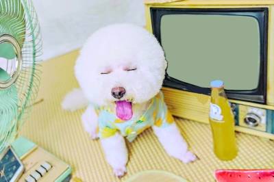 直播|这些新职业达人累并快乐着