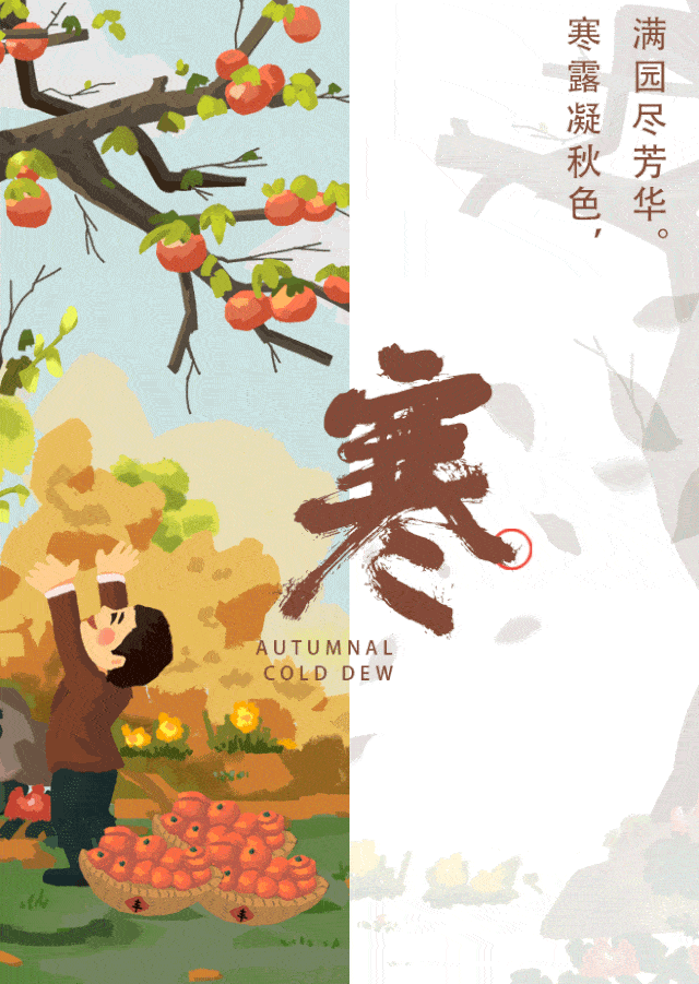 640_901 竖版 竖屏