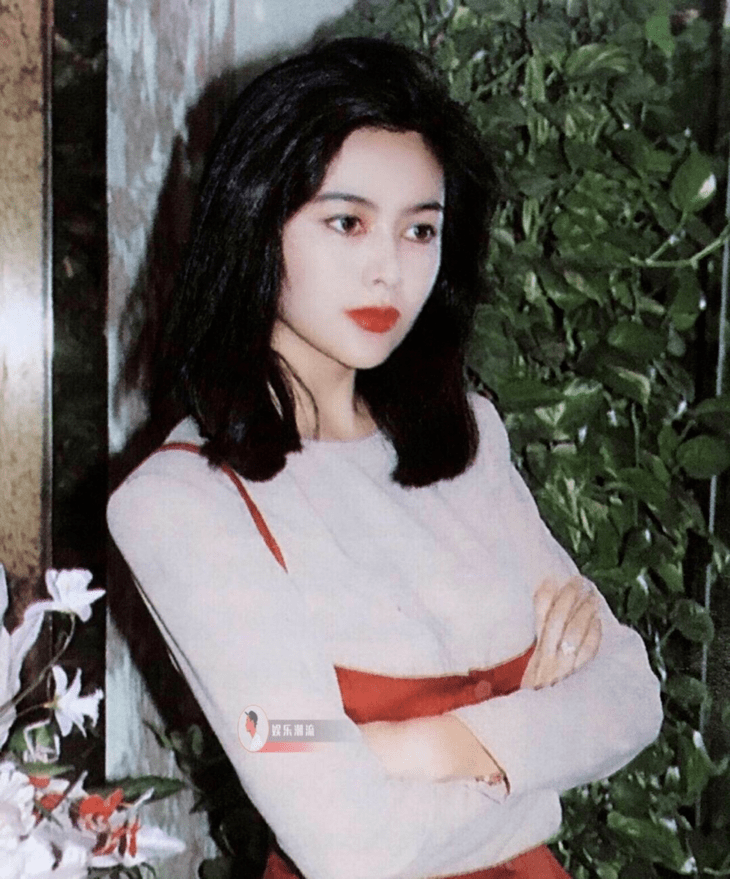 傅菁|美人计 | 赵小棠撞脸王祖贤?真的假的