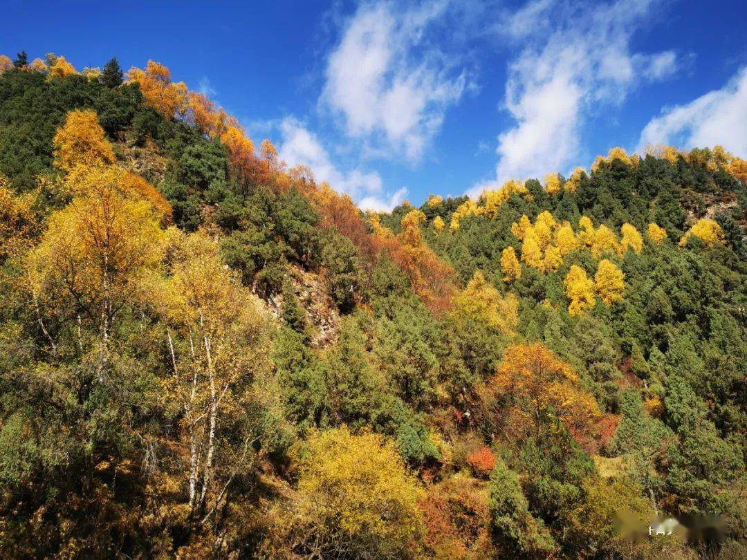 【旅游我推荐】青海互助北山秋景,看不够!