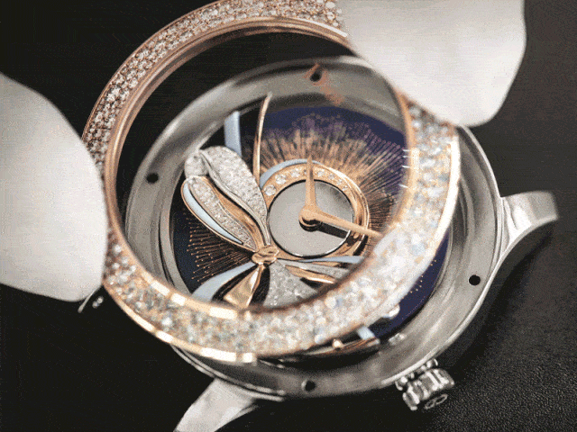 Pasha|还在惦记奶茶？秋天的第一只腕表可以安排上了！