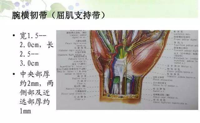 针刀治疗腕管综合征(图文详解)