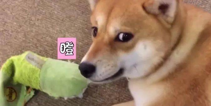 245c3677493043f0934a2410173dc67f.jpeg