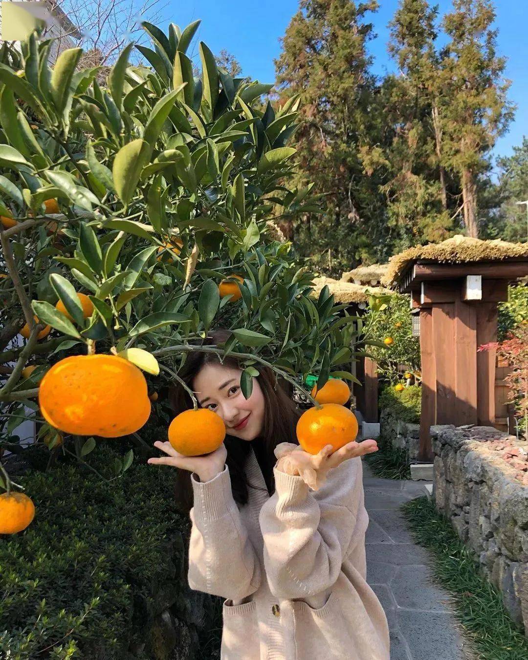 春香|美翻了！23岁撞脸“金泰熙”的她，拿下了韩国选美冠军！