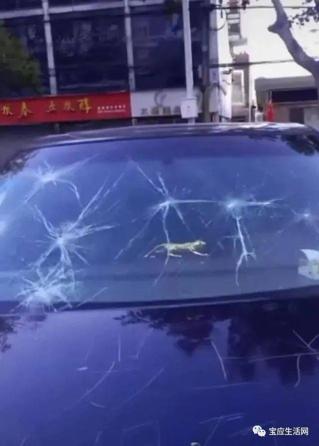 江苏宝应有多少人口_江苏宝应地图