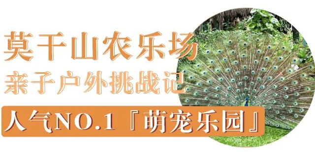 莫干山农乐场放大招啦199元人抢购原价188元亲子套餐萌宠乐园小农夫