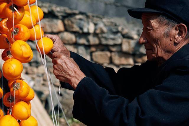 唐人段|柿子红了！柿柿如意！