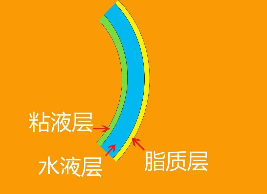 【国医话健康】孩子总呱唧眼,啥情况?_泪膜