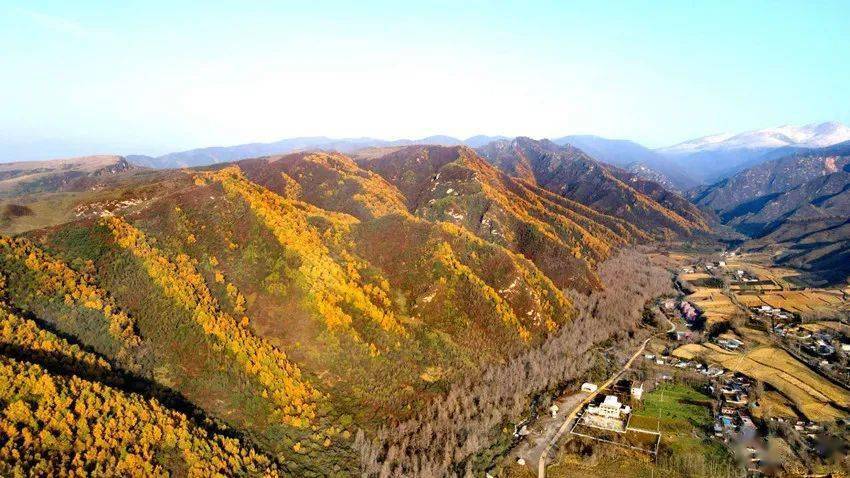 又一波云谷川秋景新鲜出炉,看得人心潮澎湃!