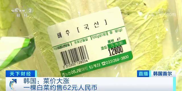 天价|泡菜都腌不起了？一棵大白菜卖出62元“天价”！这里240家工厂停工、餐厅的免费泡菜也没了...