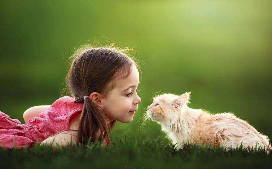 九月|农历九月运---关闭一扇不适合自己的门（廉贞忌）快乐会来的更快一些（天同禄）