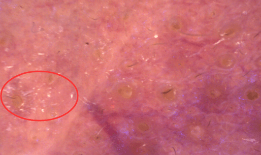 皮肤|有1个大只洗面奶，能用1年