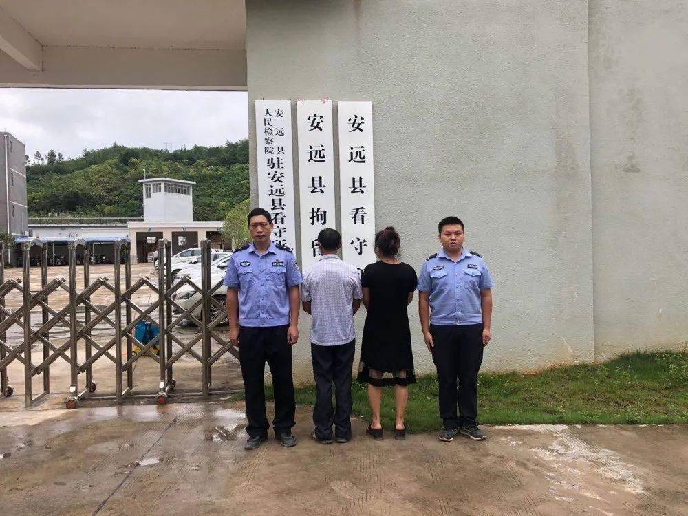 鹤仔镇人口_人口普查