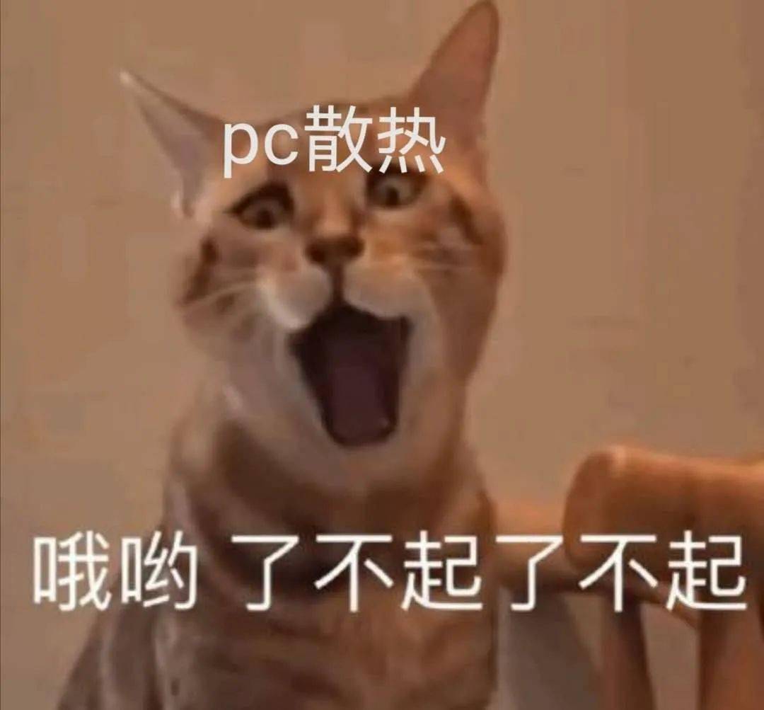头发|秃头更得办一张理发店会员卡了！