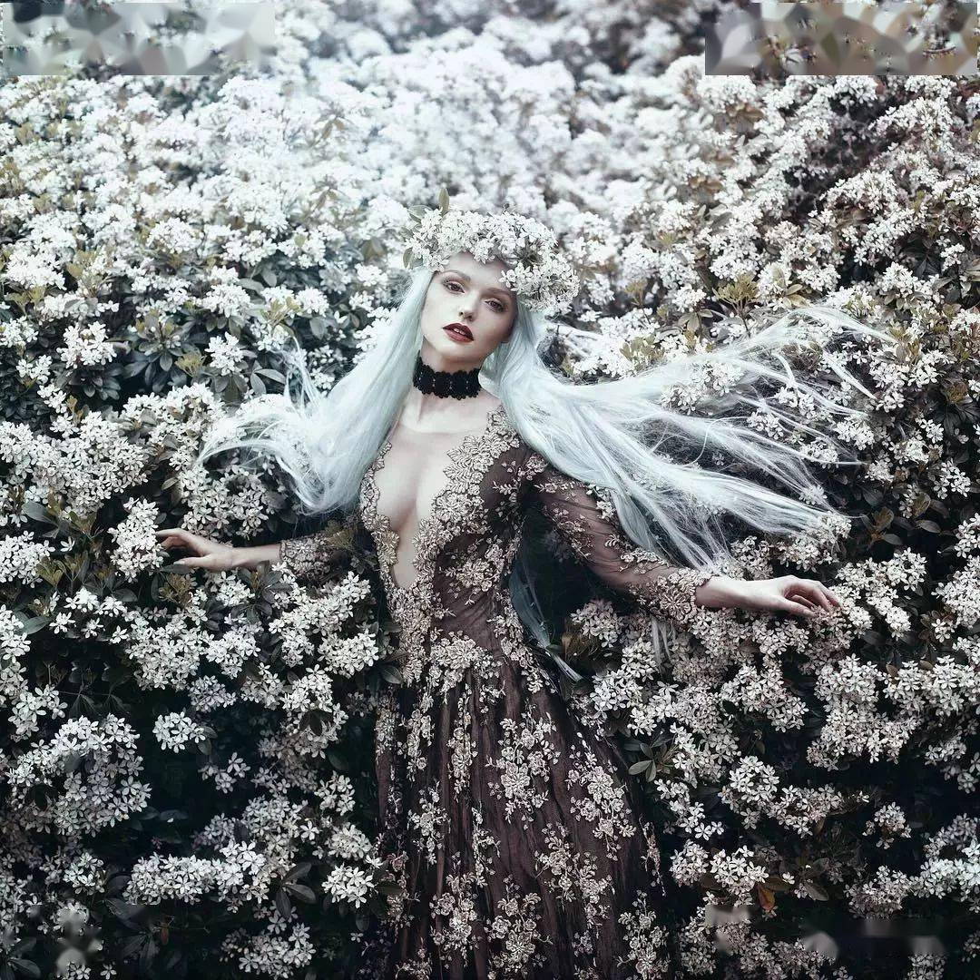 女孩|她用鲜花打造出如梦般的童话世界 让无数女孩实现仙女梦