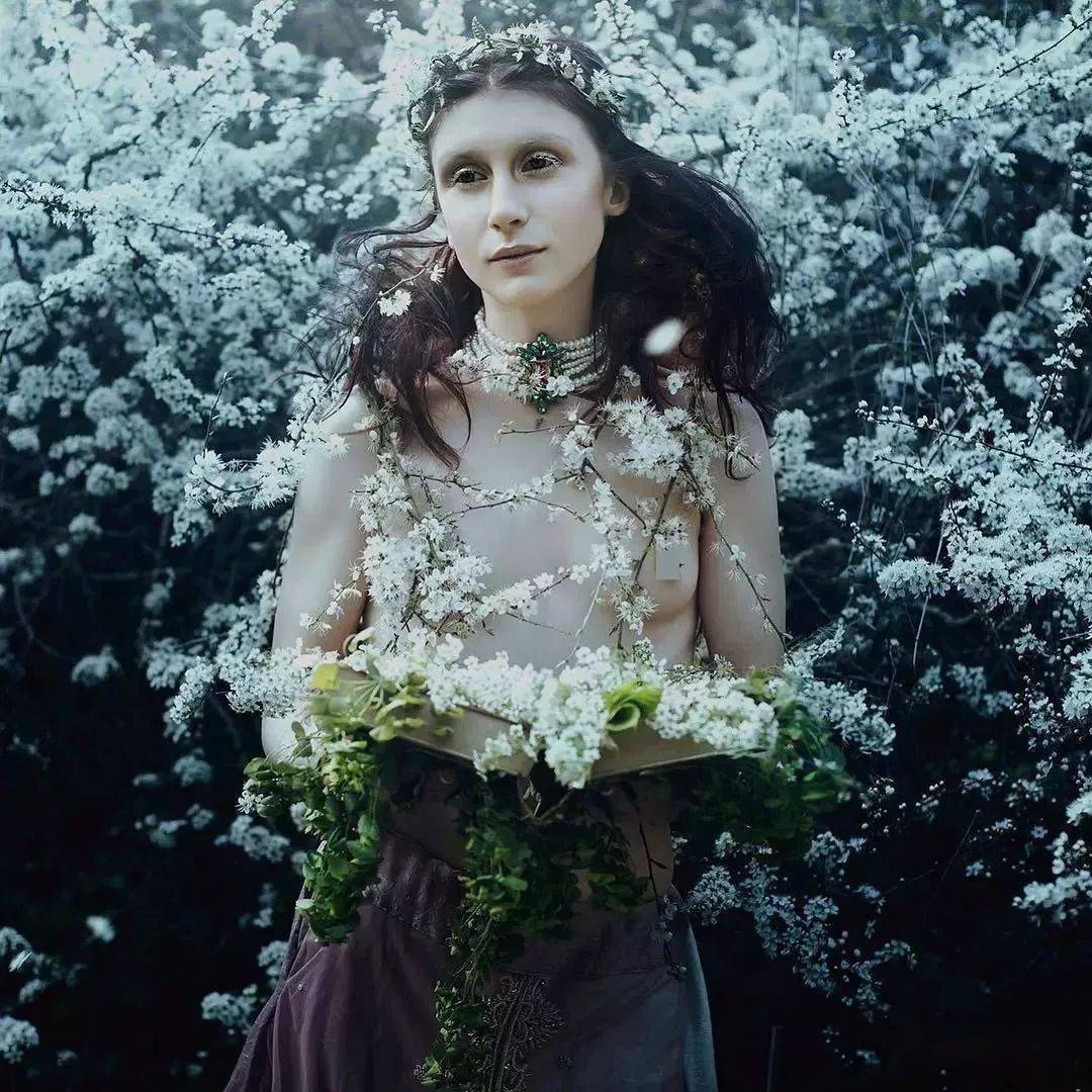 女孩|她用鲜花打造出如梦般的童话世界 让无数女孩实现仙女梦