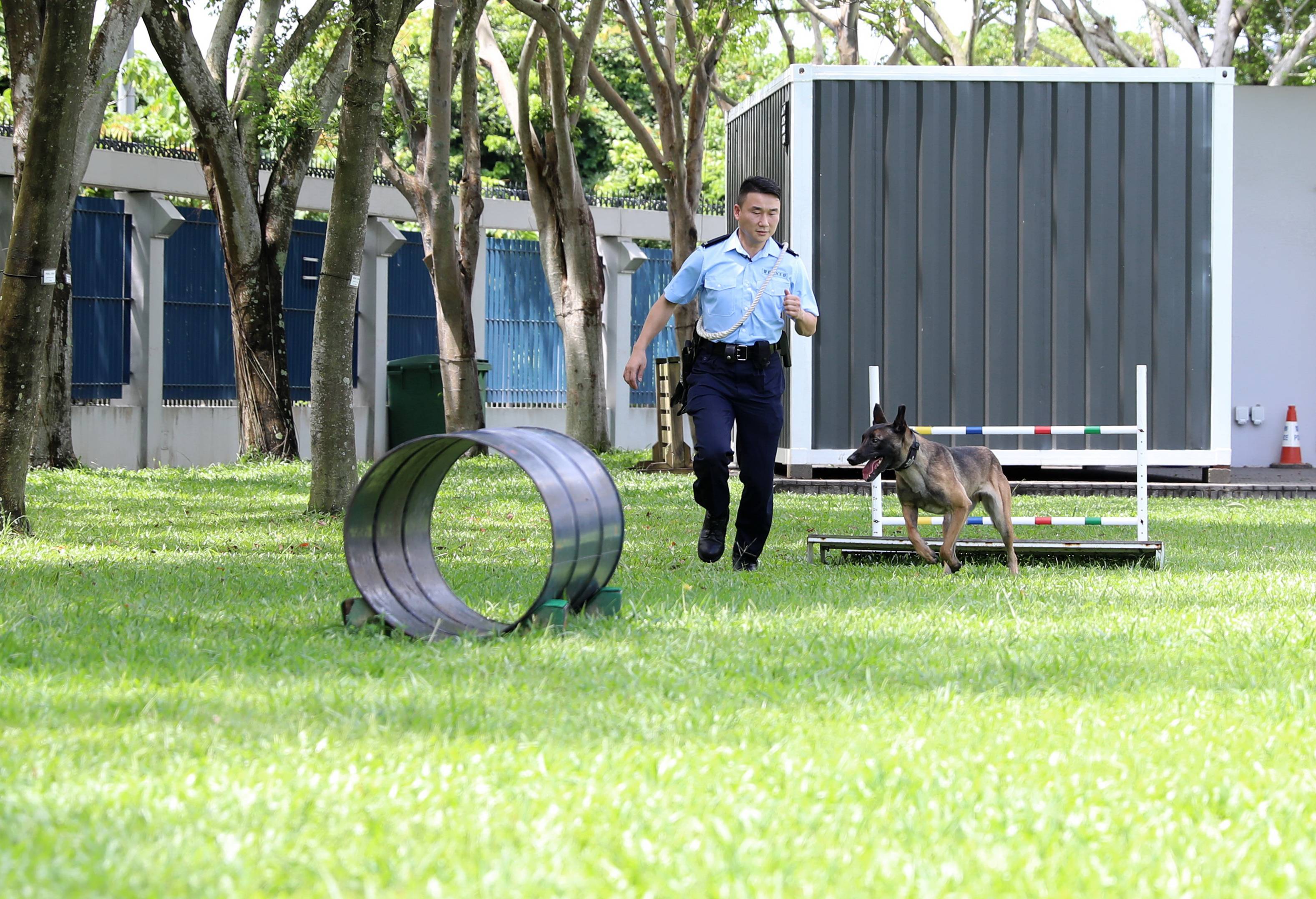 香港警犬队领犬员和他的家人