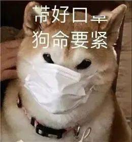 b7fb105b04914448a61ac2fe4d3b6080.jpeg
