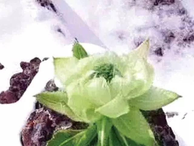 苹果|新疆为什么这样红？