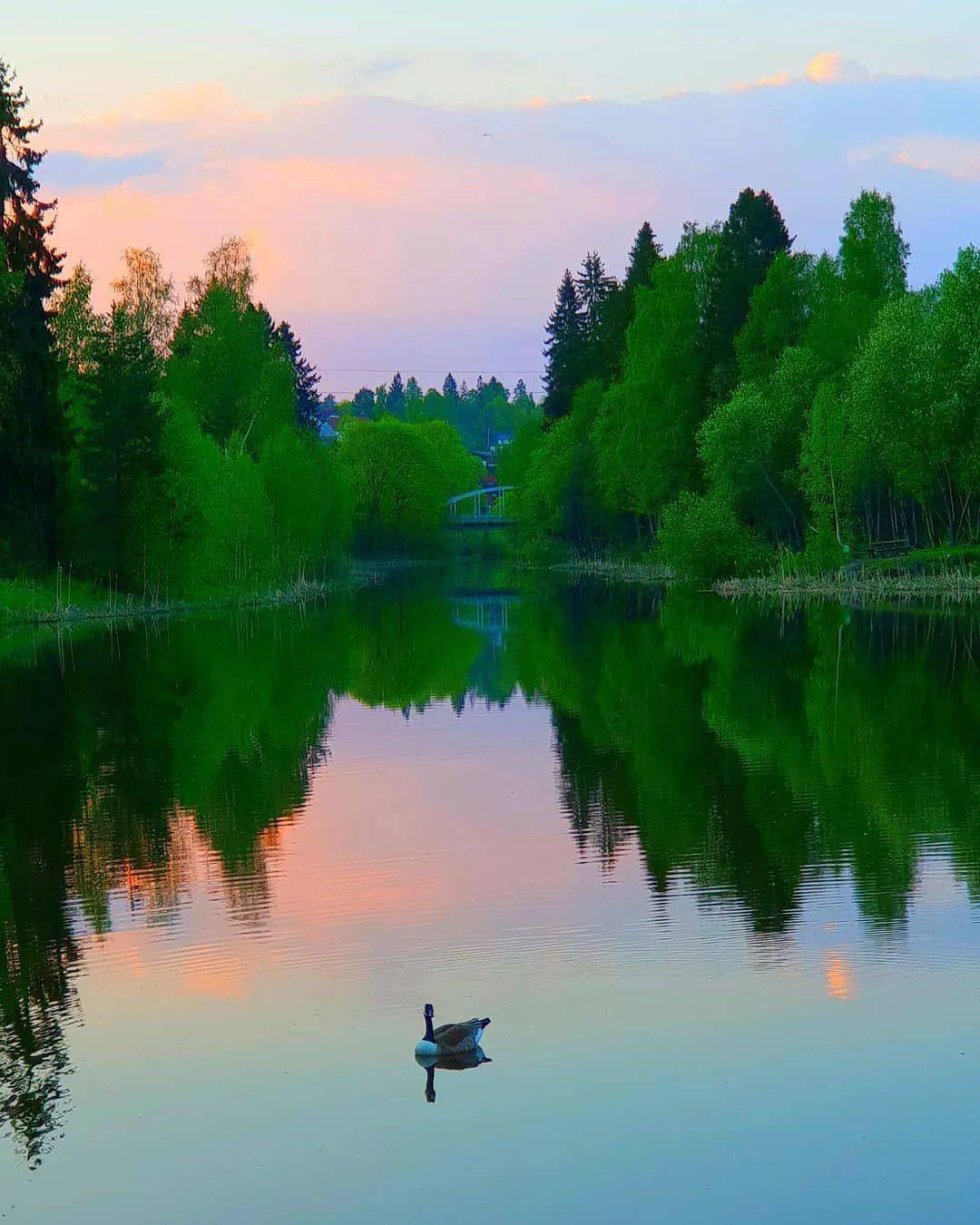 真正的朋友,是一生的风景