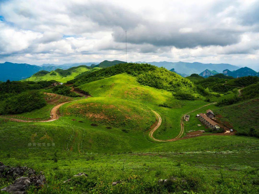 遍地的野花,漫山遍野的牛羊……这不是梦,这就是张家界南滩草场,是