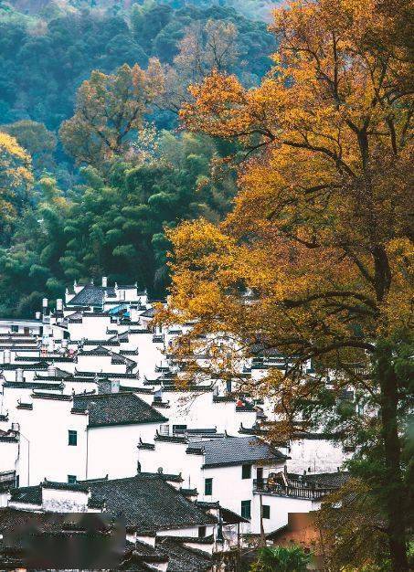 去看那一幅"晒秋人家"美丽画卷 婺源篁岭 温婉的徽派建筑,白墙黑瓦层