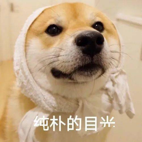 粉扑|对不起，这一次我真的要拉黑名创优品了！