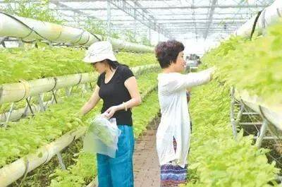 Kaiyun 开云休闲农业该如何规划才能更有特色？(图2)
