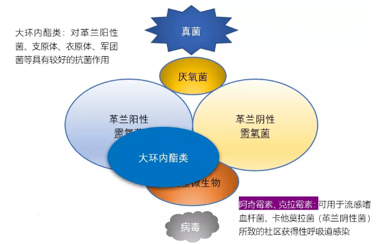 不愁曲谱_陶笛曲谱12孔(3)