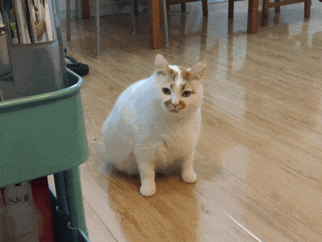 眉毛|跟着抖音学化妆的女生，到底有多惨？