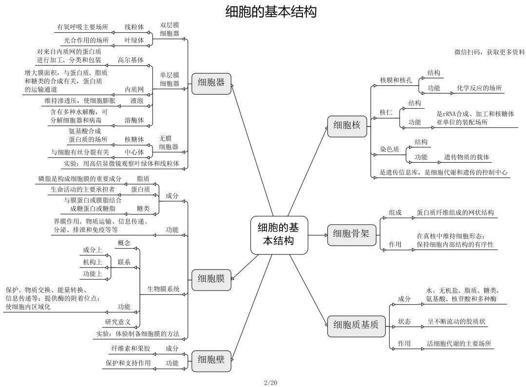 高一地理人口的分布思维导图_高一地理人口思维导图