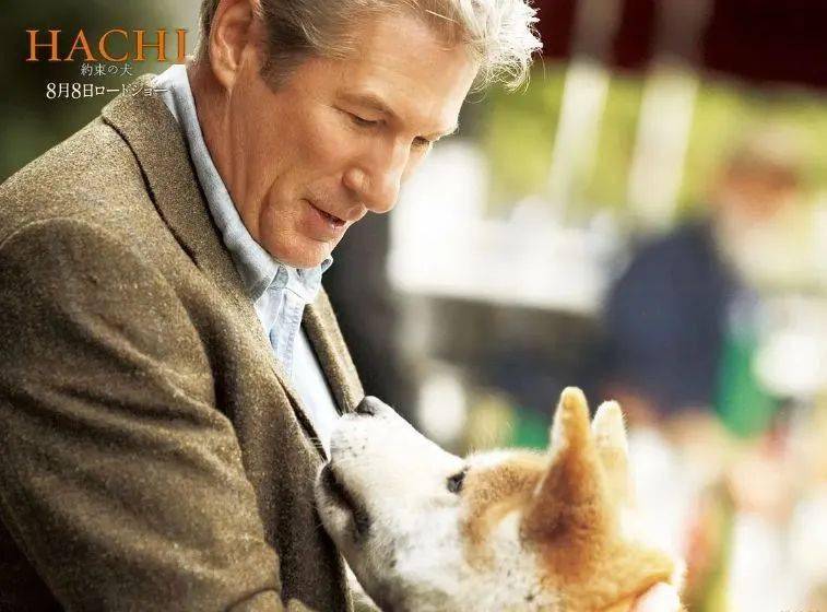 一部感人至深的电影《忠犬八公的故事》一个善举 一生守候