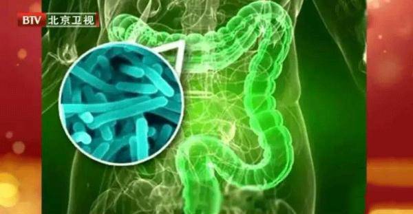 急性阑尾炎是哪个器官 fa35b1dfaed4463a92f6f2e7272af96c.jpeg