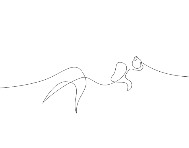 my art | 本周艺术课介绍(2020.10.12—2020.10.18)