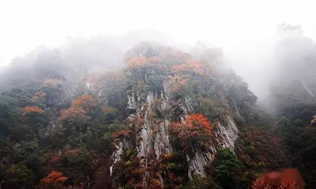 彭州市多少人口_彭州市敖平风筝之乡(3)