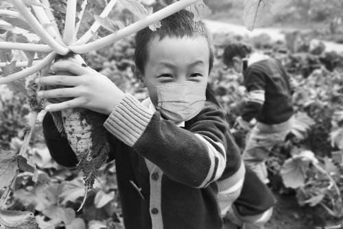 劳动|劳动汗水让孩子们收获成长